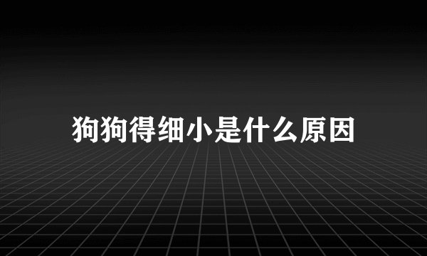 狗狗得细小是什么原因