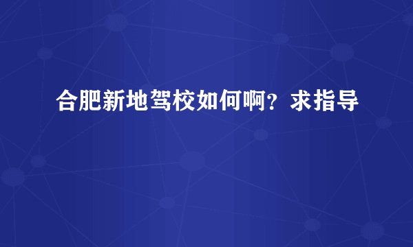 合肥新地驾校如何啊？求指导