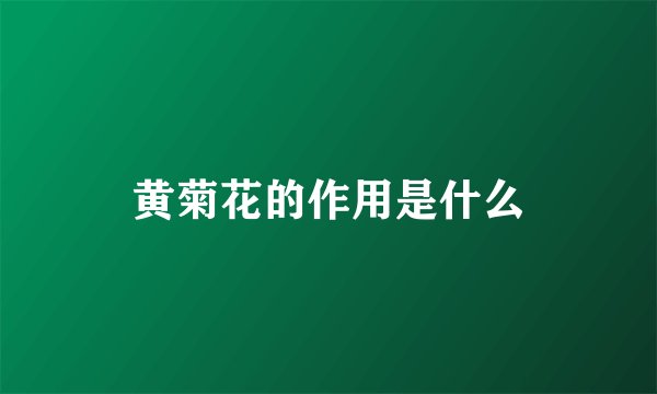 黄菊花的作用是什么