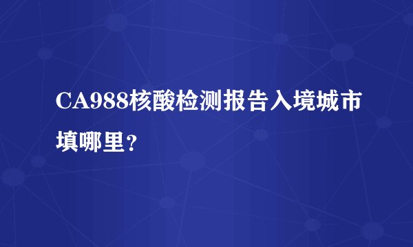 CA988核酸检测报告入境城市填哪里？