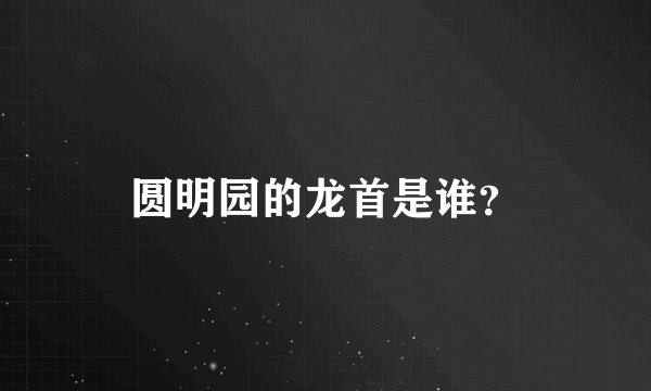 圆明园的龙首是谁？