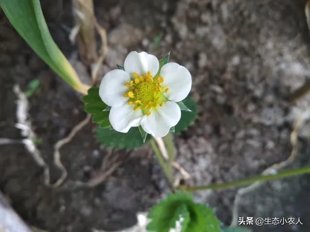 农产品批发市场对管理人员应该怎样?