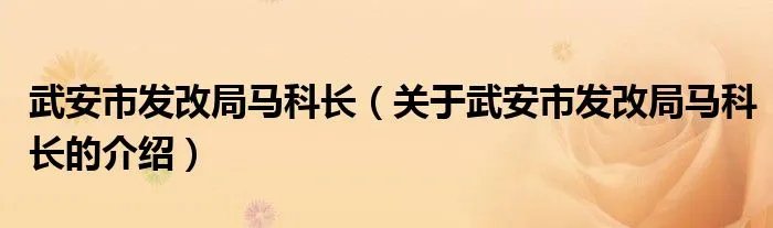 武安市发改局马科长（关于武安市发改局马科长的介绍）