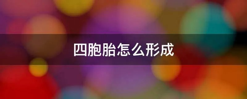 四胞胎怎么形成