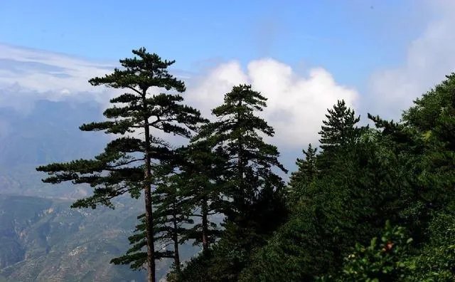 山西恒山好在哪?