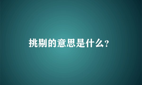 挑剔的意思是什么？
