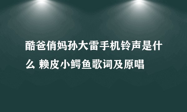 酷爸俏妈孙大雷手机铃声是什么 赖皮小鳄鱼歌词及原唱
