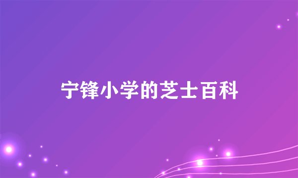 宁锋小学的芝士百科