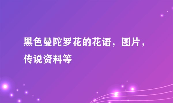 黑色曼陀罗花的花语,图片,传说资料等
