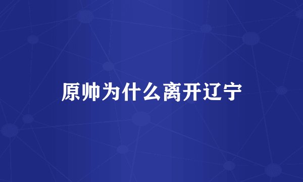 原帅为什么离开辽宁