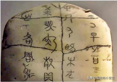甲骨文是写在什么上?