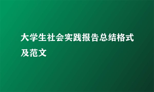大学生社会实践报告总结格式及范文