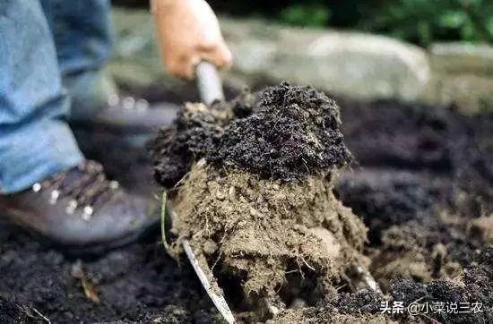 什么是有机复合肥？