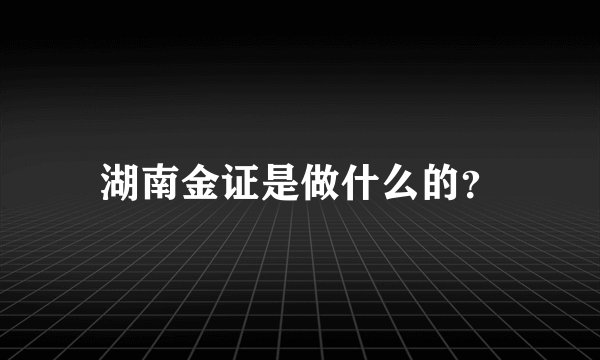 湖南金证是做什么的？