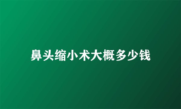 鼻头缩小术大概多少钱