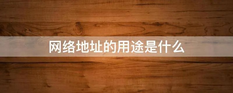 网络地址的用途是什么