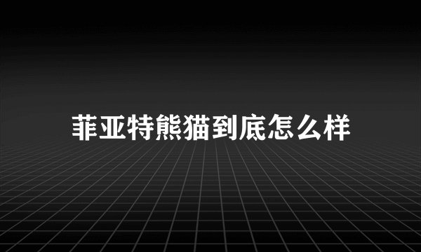 菲亚特熊猫到底怎么样