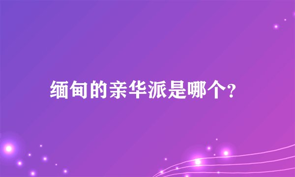 缅甸的亲华派是哪个？
