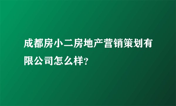 成都房小二房地产营销策划有限公司怎么样?