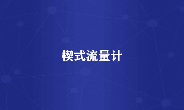 楔式流量计