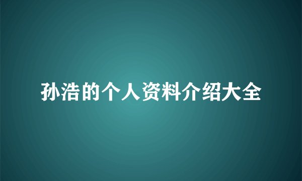 孙浩的个人资料介绍大全
