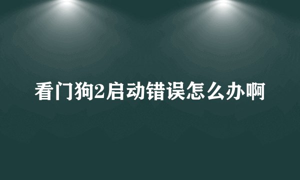 看门狗2启动错误怎么办啊