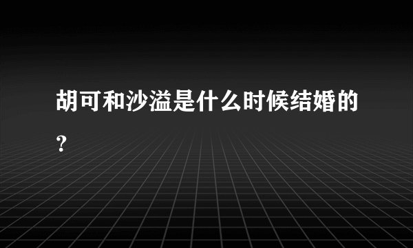 胡可和沙溢是什么时候结婚的？