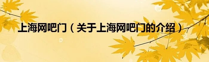 上海网吧门（关于上海网吧门的介绍）