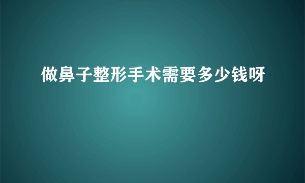 做鼻子整形手术需要多少钱呀