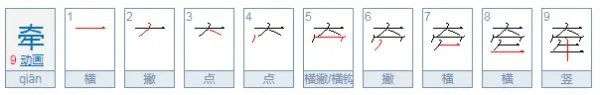 牵字的部首是什么?
