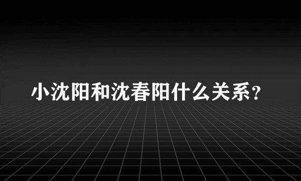 小沈阳和沈春阳什么关系?