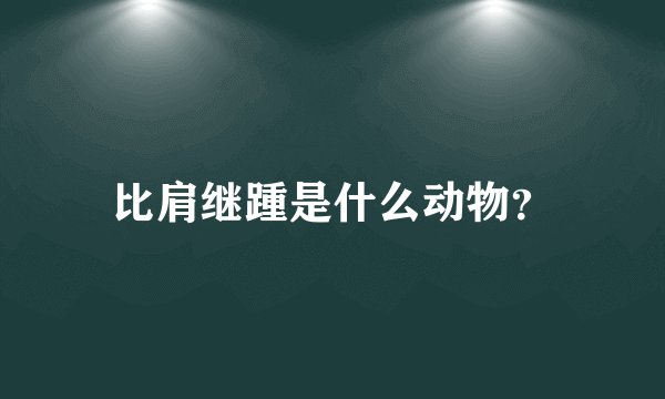 比肩继踵是什么动物？