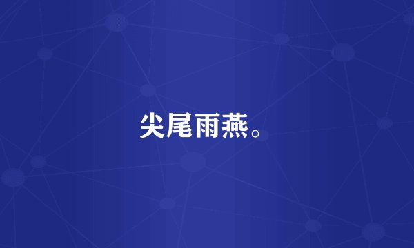 尖尾雨燕。