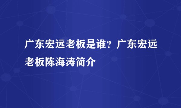 广东宏远老板是谁?广东宏远老板陈海涛简介