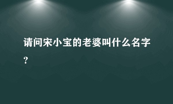 请问宋小宝的老婆叫什么名字？