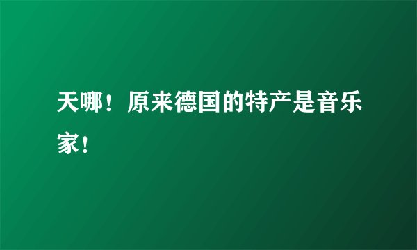 天哪！原来德国的特产是音乐家！