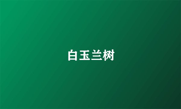 白玉兰树