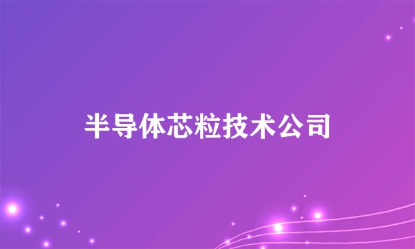 半导体芯粒技术公司