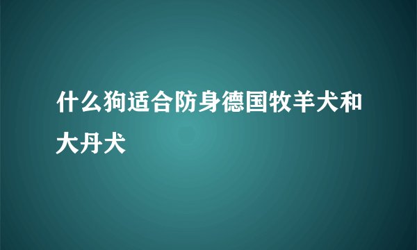 什么狗适合防身德国牧羊犬和大丹犬