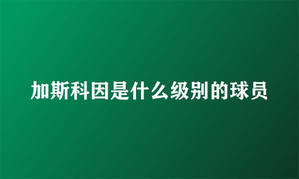 加斯科因是什么级别的球员
