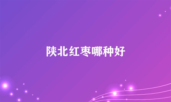 陕北红枣哪种好