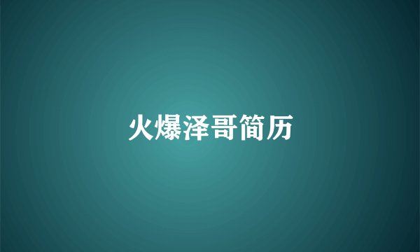 火爆泽哥简历