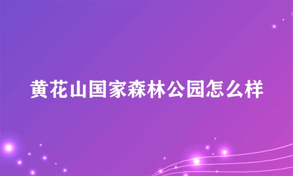 黄花山国家森林公园怎么样