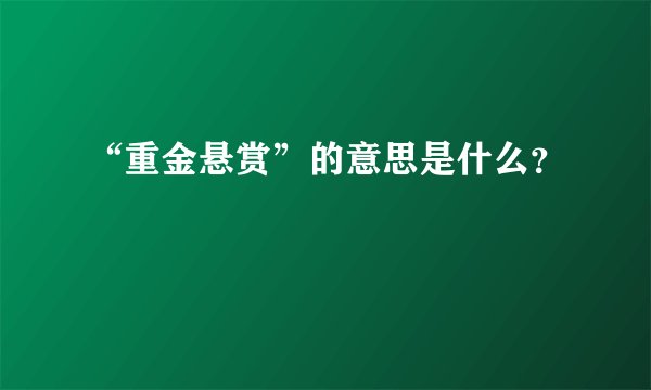 “重金悬赏”的意思是什么？