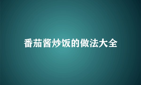 番茄酱炒饭的做法大全