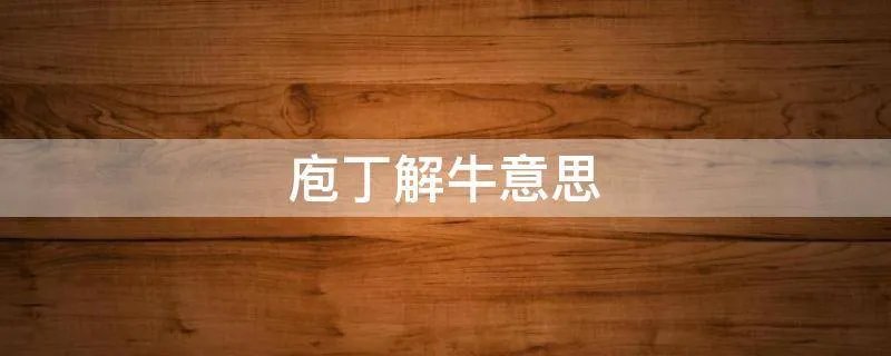 庖丁解牛意思