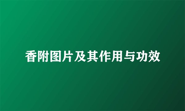 香附图片及其作用与功效