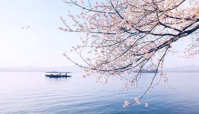 3月开什么花