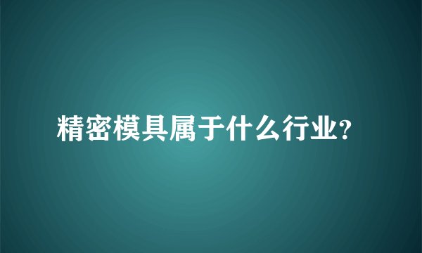 精密模具属于什么行业？
