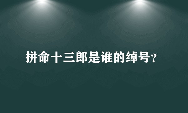 拼命十三郎是谁的绰号？